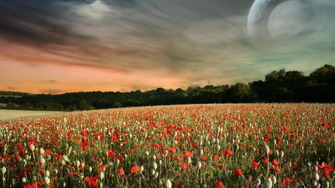 为什么越到高层女性越少，无论政界还是商界？